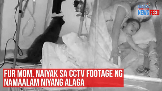 Fur mom, naiyak sa CCTV footage ng namaalam niyang alaga | GMA Integrated Newsfeed