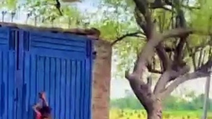 Punjabi culture gaon ka | zaberdst vlog| old village life in world very unique and wonderful village life traditional village life in Punjab apna sohna punjab