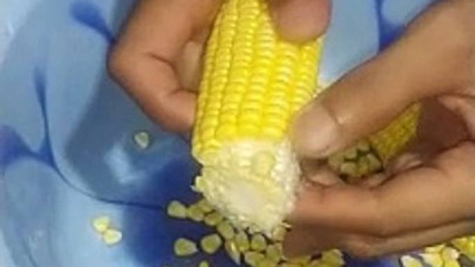 Cara cepat pretelin Jagung manis