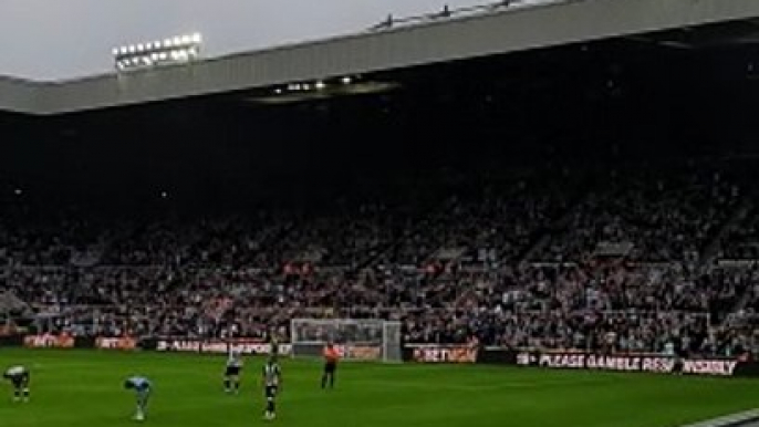 Sandro Tonali comes on for Newcastle United