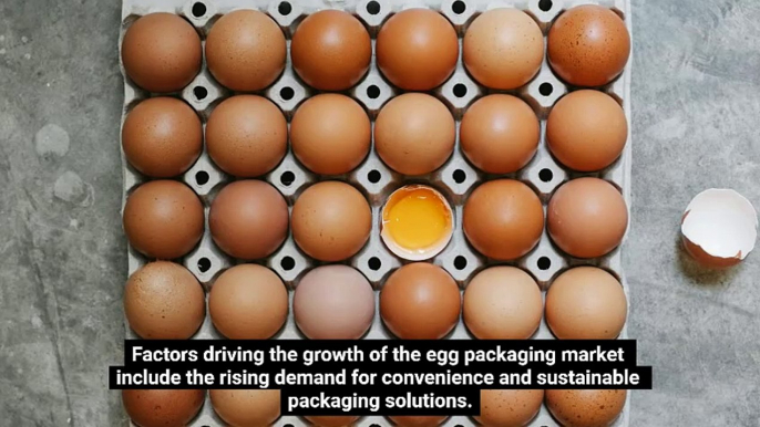 Rising Demand for Eco-Friendly Fiber Packaging Drives Growth in the Egg Packaging Market