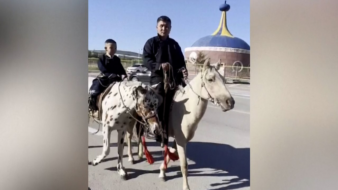 La tierna imagen de un niño a lomos de su caballo en su primer día de colegio