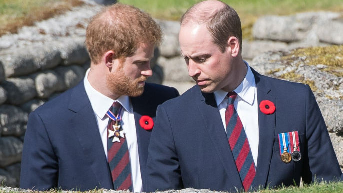 "Soit il est bête, soit il le fait exprès" : tension entre le prince Harry et le prince William