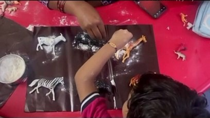 Shadow Activity Fun with Kids | Saturday Fun at Balvatika Ajmer Road, Jaipur Rajasthan