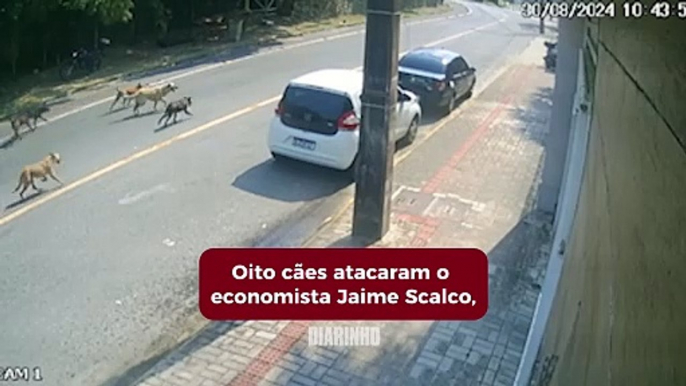 Economista é atacado por oito cães na praia