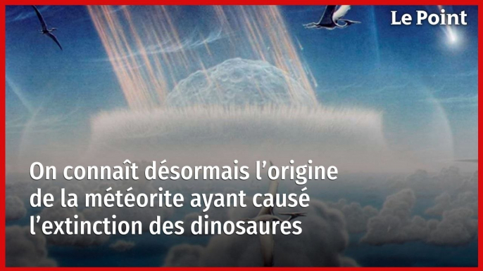 On connaît désormais l’origine de la météorite ayant causé l’extinction des dinosaures