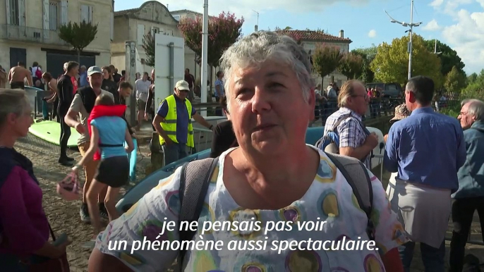 Gironde: sur la Dordogne, la vague du mascaret attire de plus en plus de monde