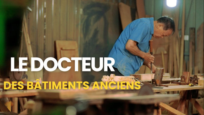 Le docteur des bâtiments anciens