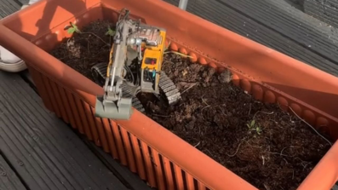 'Boys Will be Boys' - Man uses his remote-controlled digger to play with food