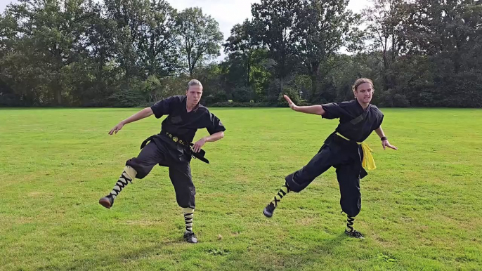 Shaolin Kungfu - He Yong Gan Martial Arts Holland