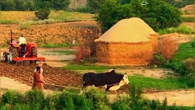 Pind Punjab dey village life in Punjab India and Pakistan old culture of Punjab