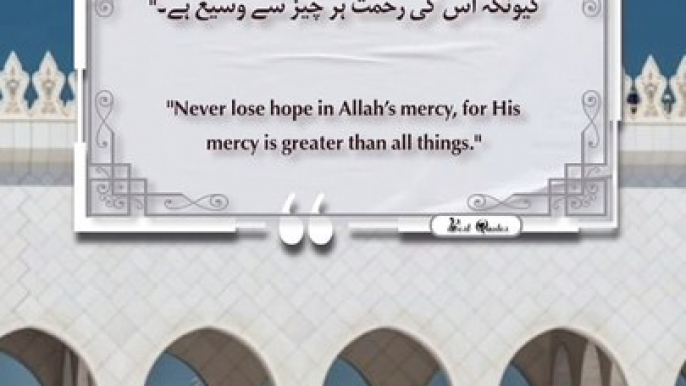 Best Quotes, shorts, shortvideo, shortsfeed, short, shortsviral, quran, video, viralvideo