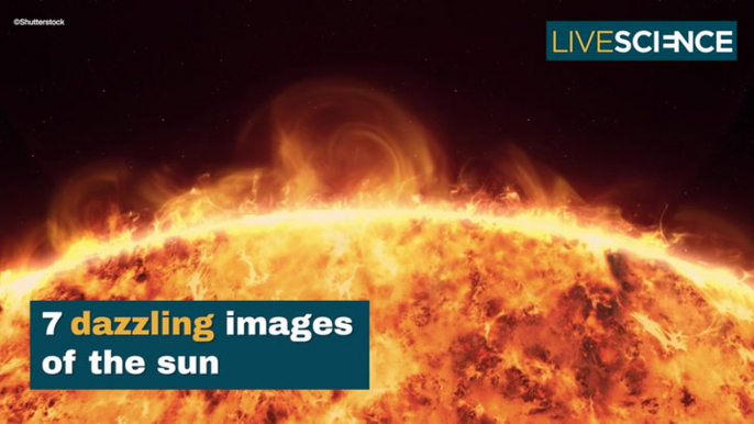 7 Dazzling Images Of The Sun