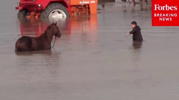 Heavy Flooding Continues In Romania, Poland And Austria Following Heavy Rainfall