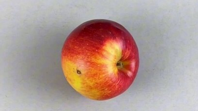 Draw a Apple As a Real Apple