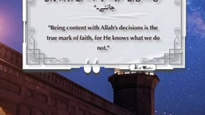 Best Quotes #shorts #shortvideo #shortsfeed #short #shortsviral #quran #viralvideo #quran #quotes