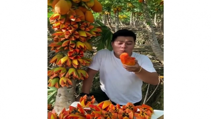 Awesome Cutting Fruit on The Tree _ Amazing Fruits Cutting Skills