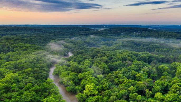 “No entendemos que la deforestación del Amazonas nos está afectando y no sabemos qué hacer” advertencia de experta de WWF