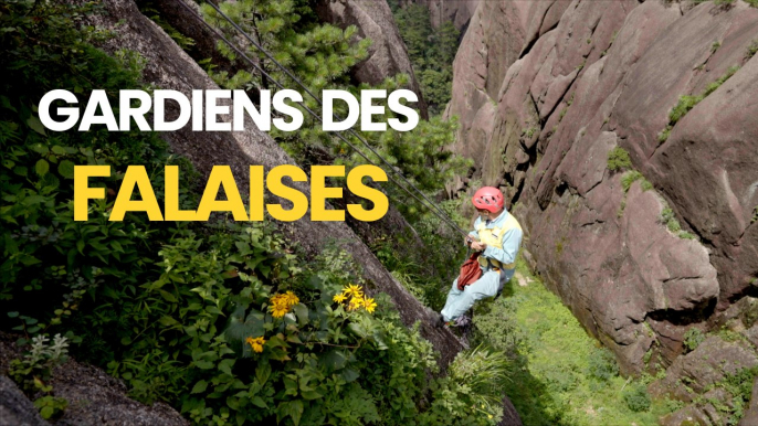 Gardiens des falaises