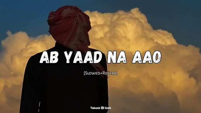 Ab Yaad Na Aao Rehne Do (Slowed and Reverb) -  __ Nasheed __ Tabeeb E Qalb #nasheed #naat #nazam #song #mp4moviez