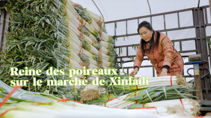 Reine des poireaux sur le marché de Xinfadi