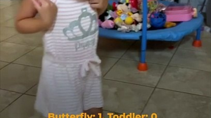 Toddler’s Hilarious Reaction to Butterflies—Too Cute to Miss