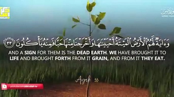 Most beautiful recitation of Surah Yaseen (Yasin) سورة يس ⋮ Zikrullah TV