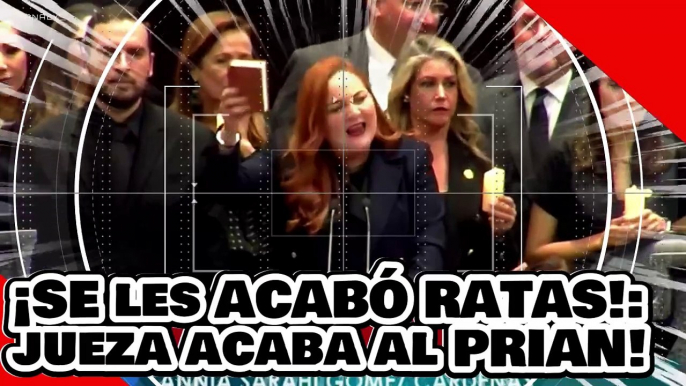 ¡Se les acabó ratas! ¡Sánchez Cordero acaba con el McPRIAN! ¡ya no podrá frenar leyes de la 4T!