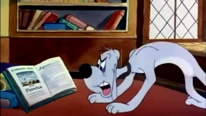 The Coo Coo Bird Dog - 1949 - Color Rhapsody