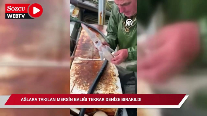 Kırklarelili balıkçı yakaladı: Suni teneffüs yapıp apar topar denize saldı