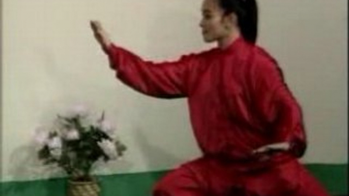 tai chi chuan