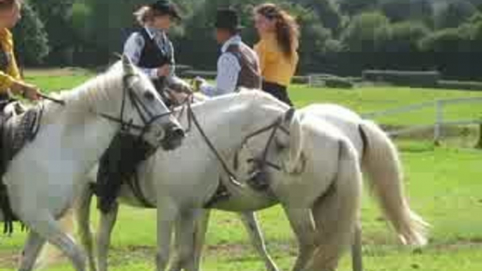 danse de chevaux de danse de chevaux de Camargue