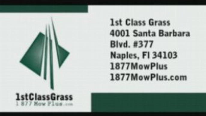 Free Estimate Call: (239) 465-4752 1st Class Grass Lawn ...