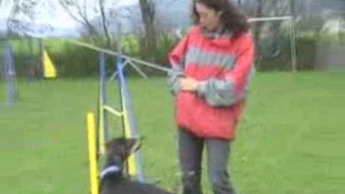 Tania agility septembre 2008