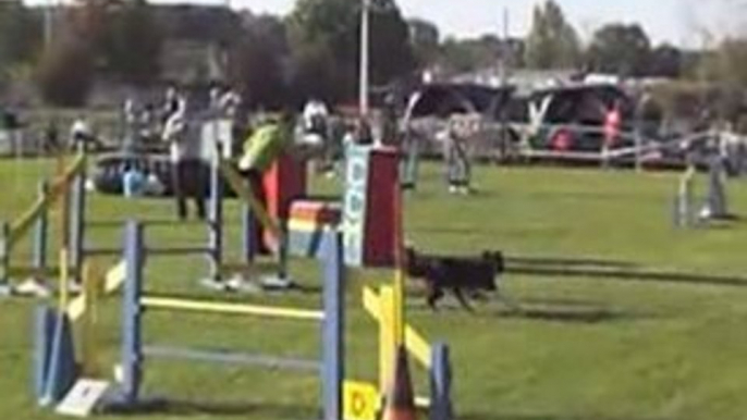 Jumping Concours Agility Migennes 21 septembre 2008