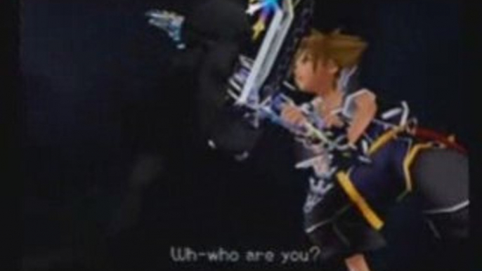 Amv kingdom hearts breaking the habbit