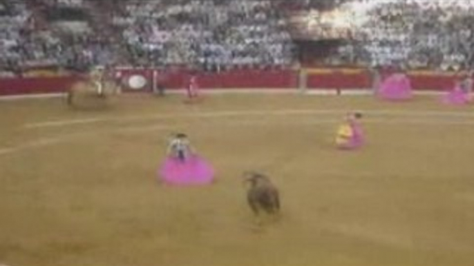 Corrida de Toros "La Misericordia" (Zaragoza 2008)