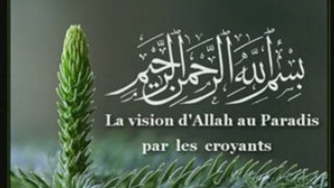 La vision d'Allah au paradis par les croyants !