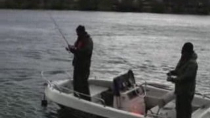 Concours de Pêche sur le Rhône