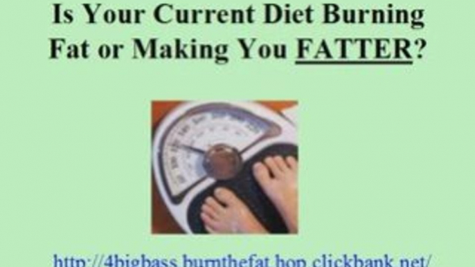 Lose Weight Dieting Burn Body Fat Lose Weight Fast